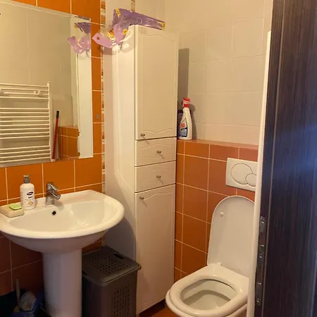 Apartment Apartman Mitric *
